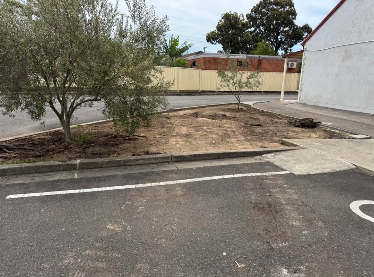 Median Landscaping — Before
