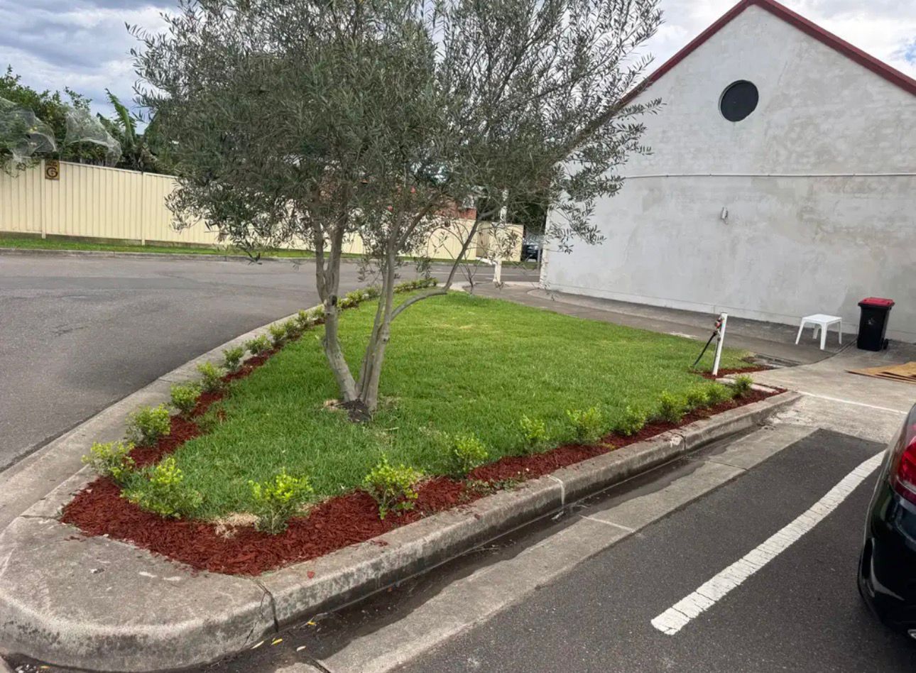 Median Landscaping — After